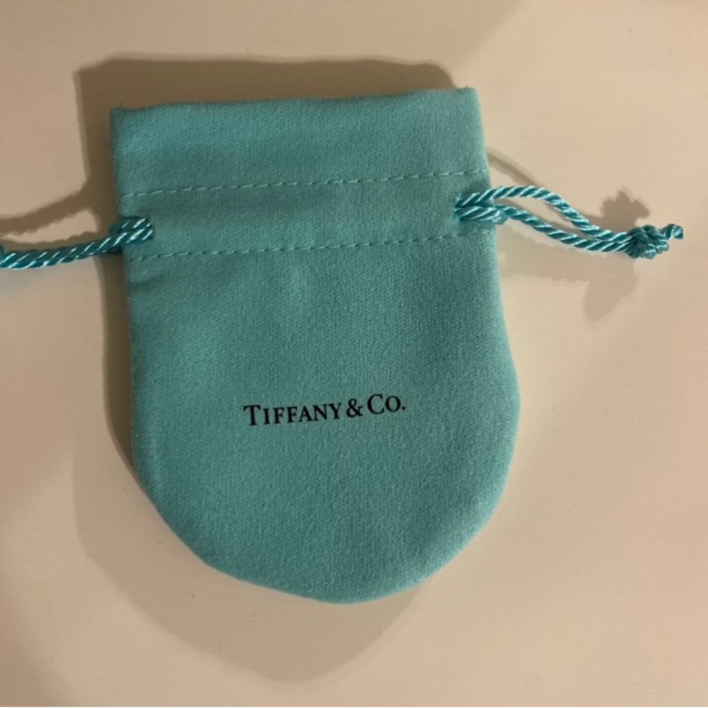 New Original Tiffany & Co. Soft Suede Jewelry Bag
